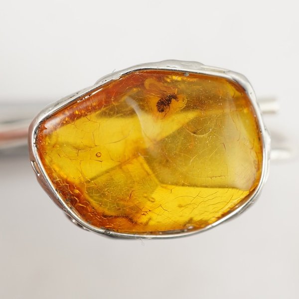 Amber with Insect Ring