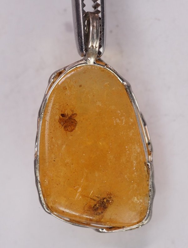Copal with Insects Pendant
