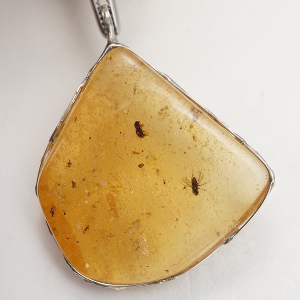 Copal with Insects Pendant